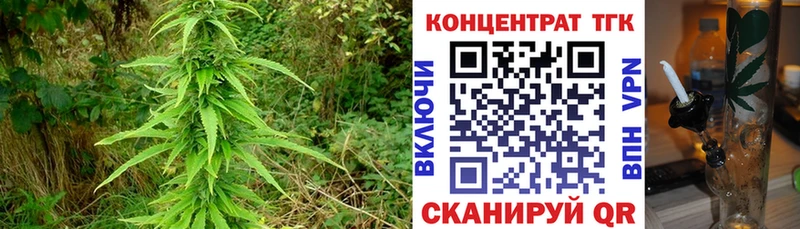 как найти закладки Канаш ТГК вейп с тгк