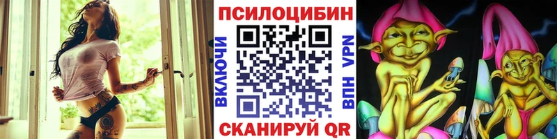 цены наркотик  Канаш  Галлюциногенные грибы прущие грибы 
